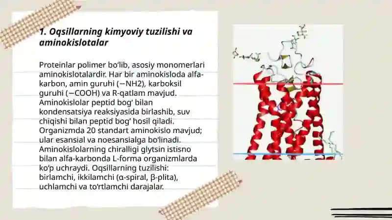 Oqsillar 3