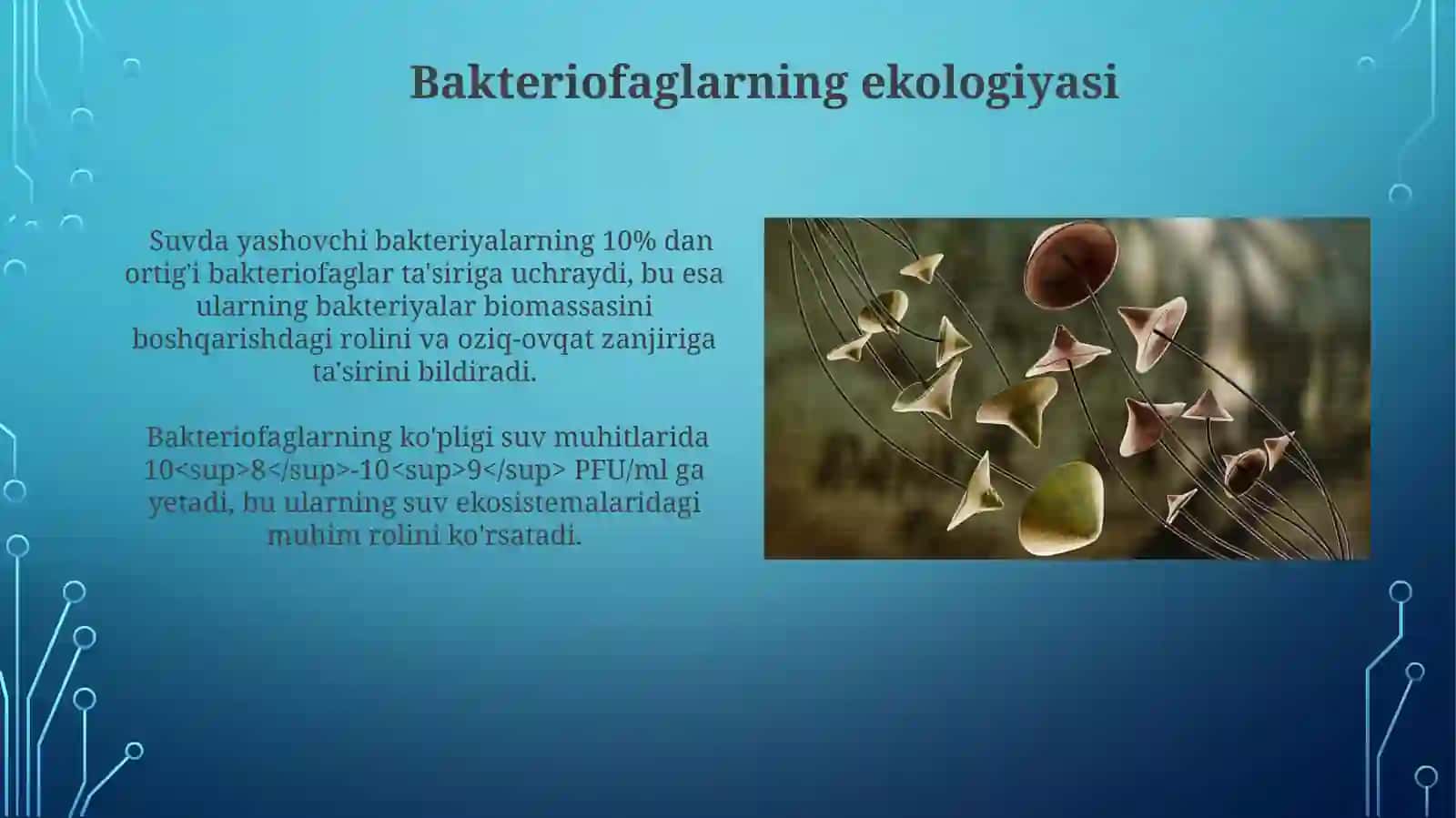 Bakteriofaglar: Umumiy nuqtai 3
