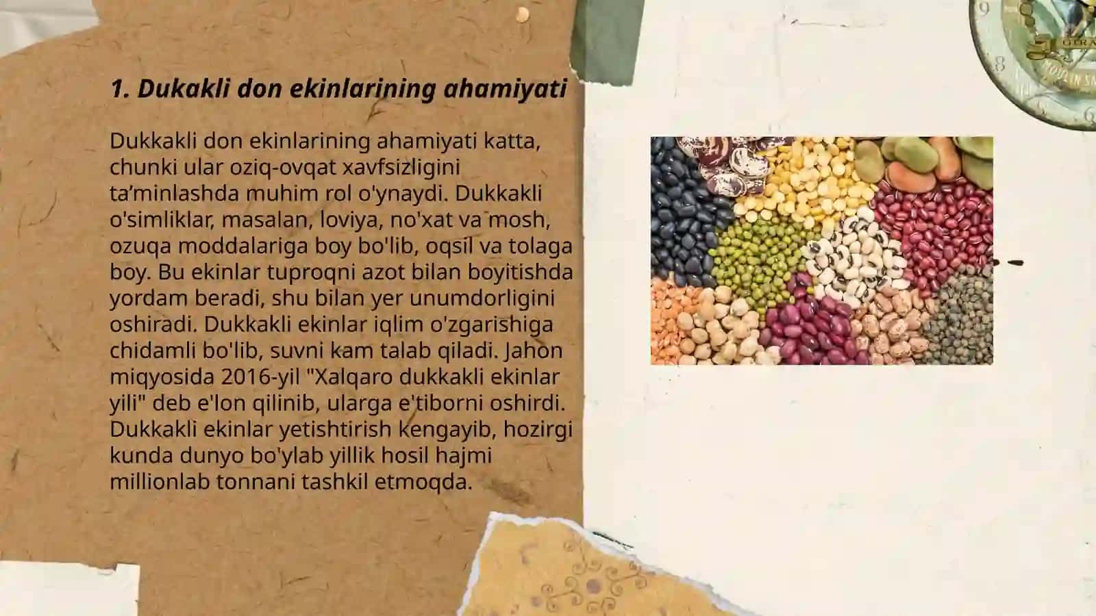 Dukakli don ekinlari 3