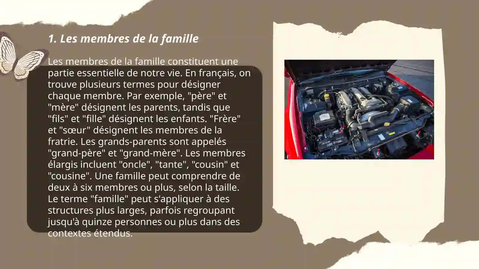 Les membres de la famille 3
