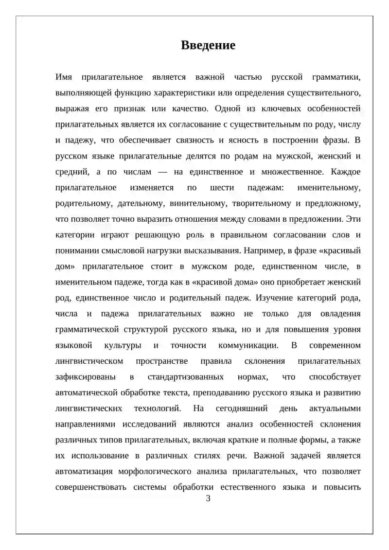 Имя прилагательное 3