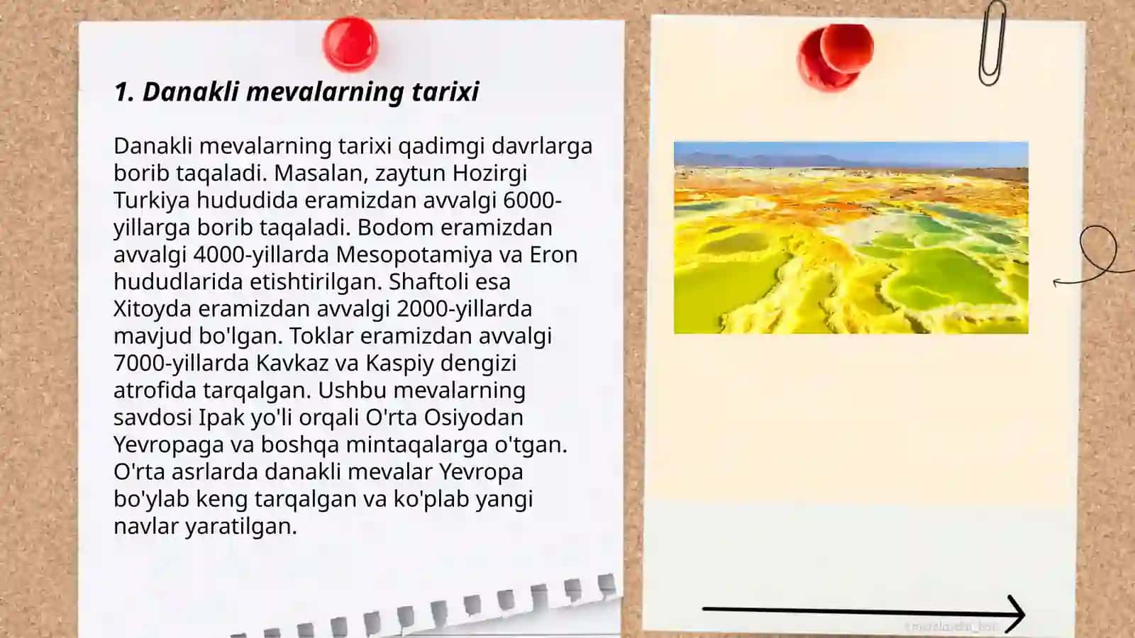 Danakli mevalar 3