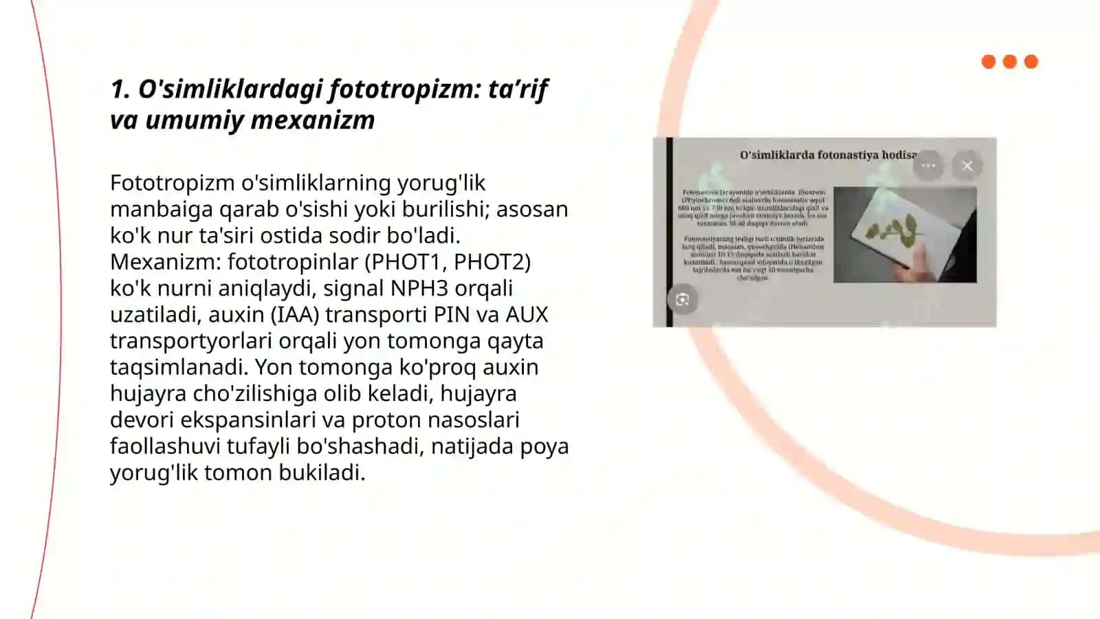 Õsimliklardagi fototropizm fotonastiya va geotropizm 3