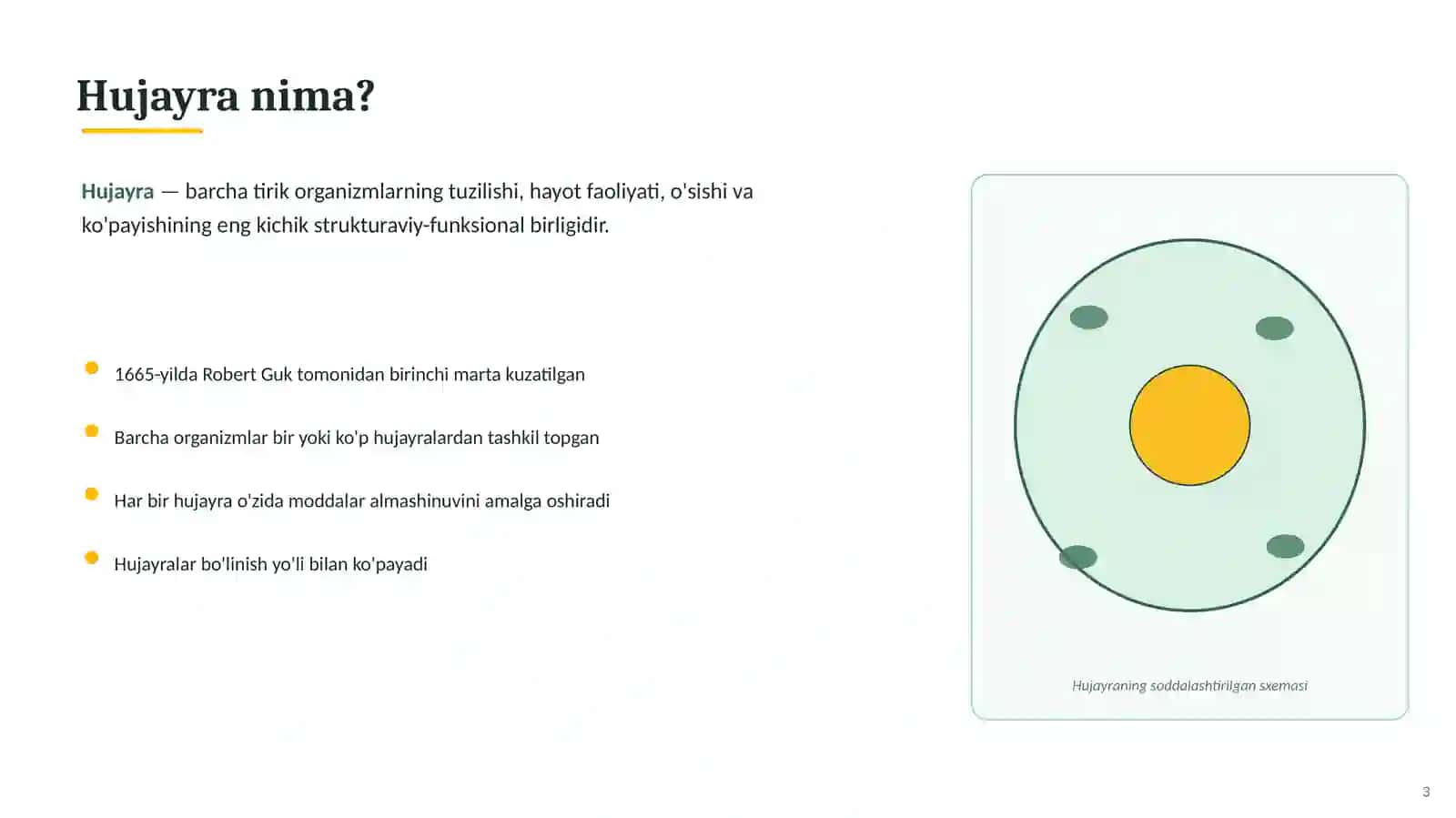 Biologiya hujayra tuzilishi 3