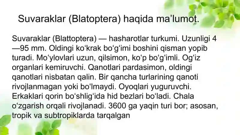 Suvaraklar va Beshiktebratarlar Turkumi 3