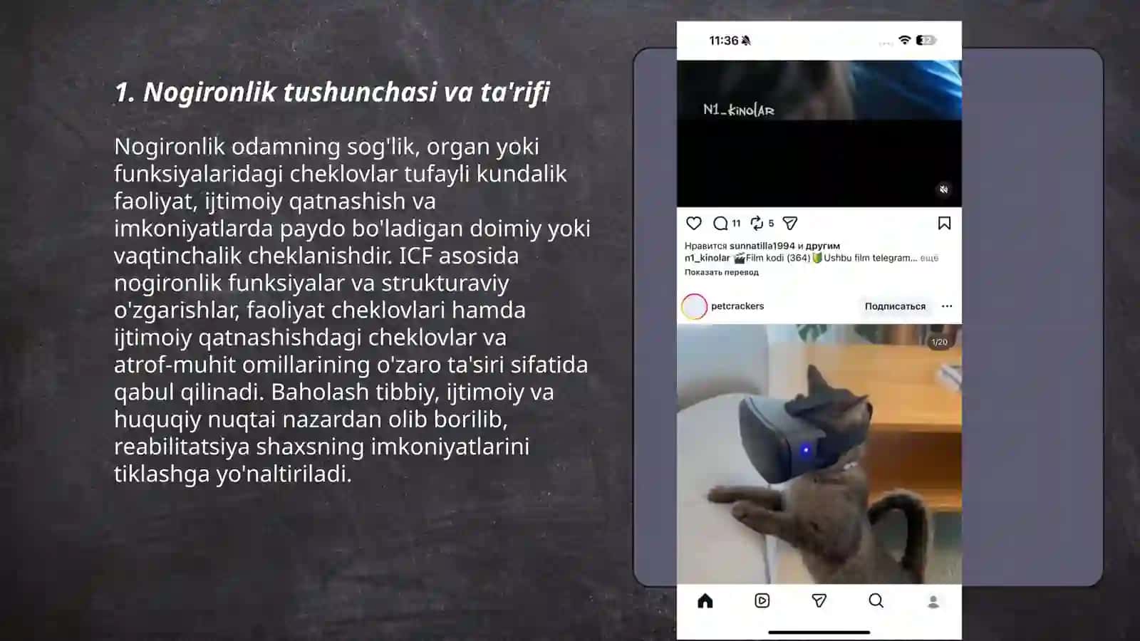 Nogironlik va reabilitatsiya tushunchalari mohiyati 3