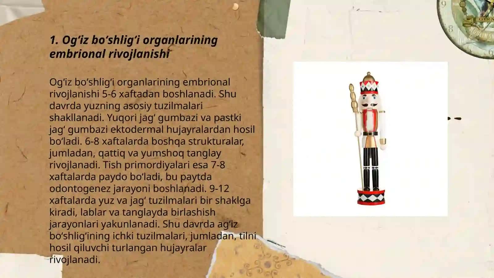 Ogʻiz boʻshligʻi aʼzolarining taraqqiyoti va tuzilishi 3