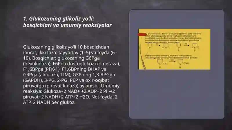Glukozaning ayrim reaksiyalari. Metabolitik jarayonlarning asosiy yoʻllari 3