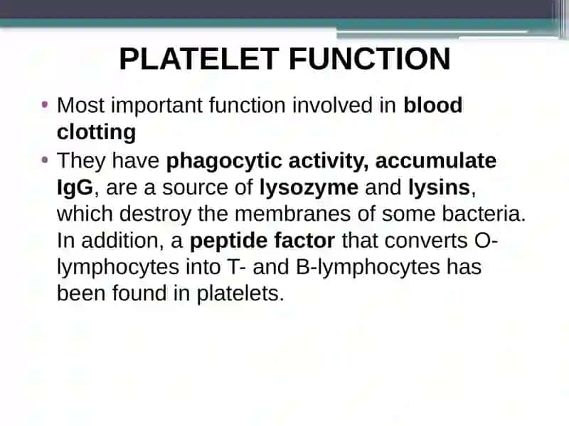 PLATELETS or TROMBOCYTE 3