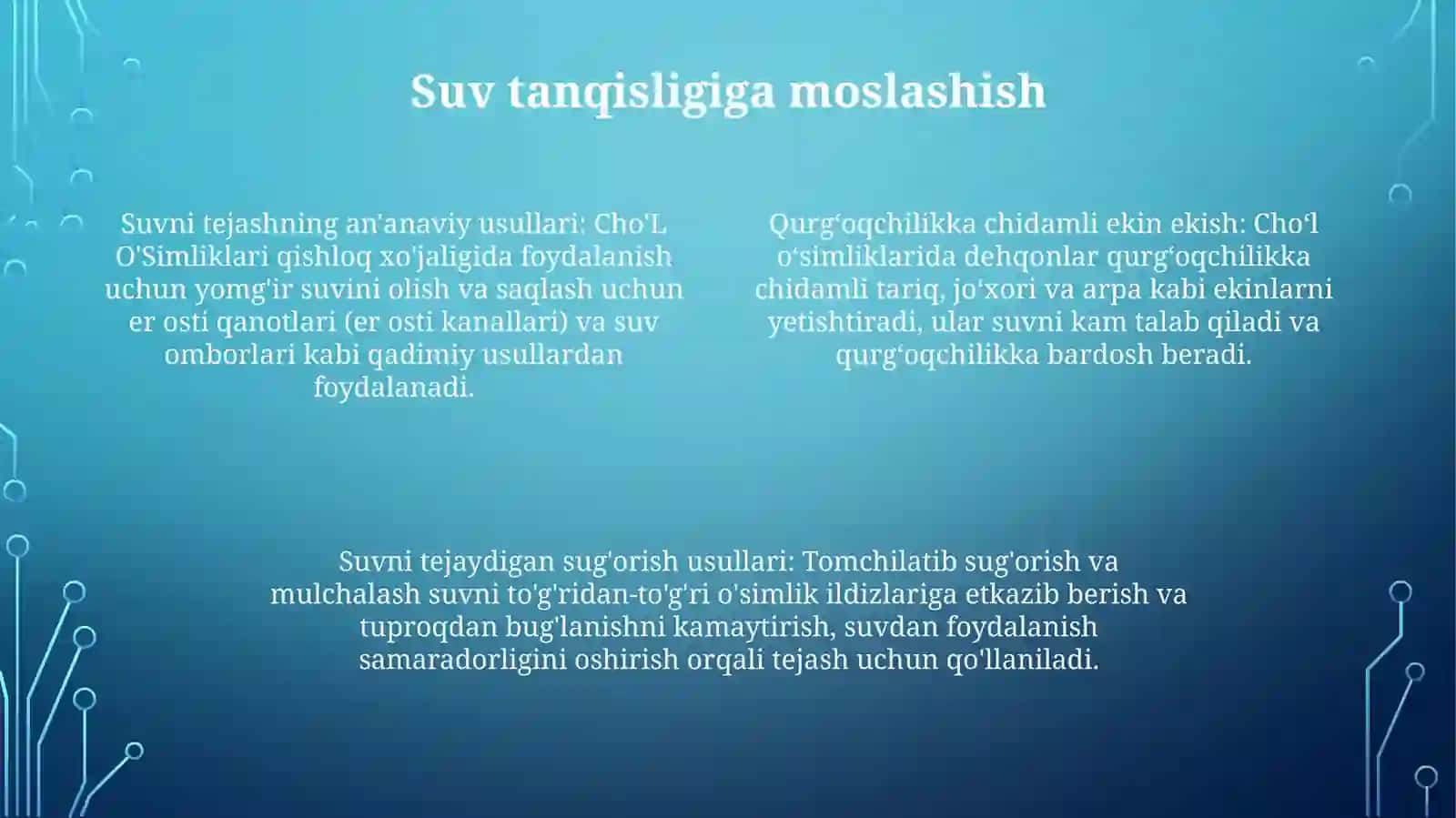 Cho‘L O‘Simliklari 3