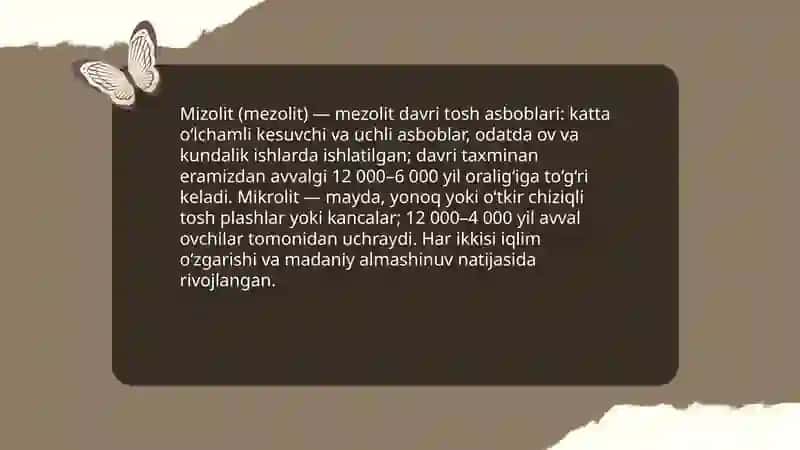 Mizolit.Mikrolit qurollar 3