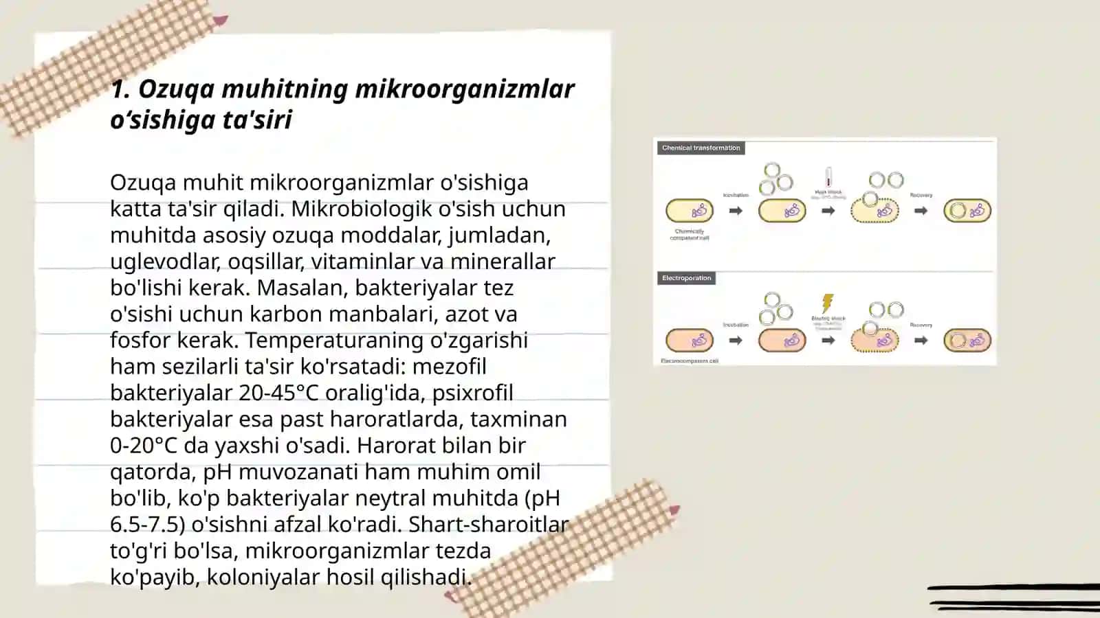 Ozuqa muhitlari bakteriyalar hujayrasiga moddalarning o‘tish mexanizmi roli 3