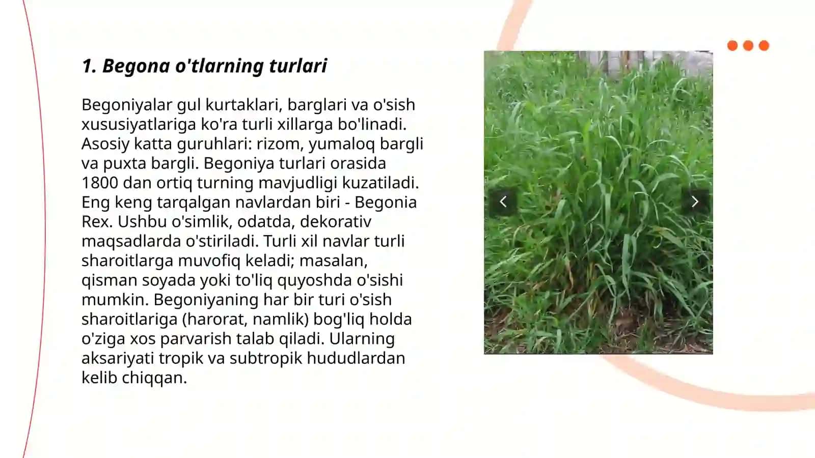 Begona o'tlarning turlari 3