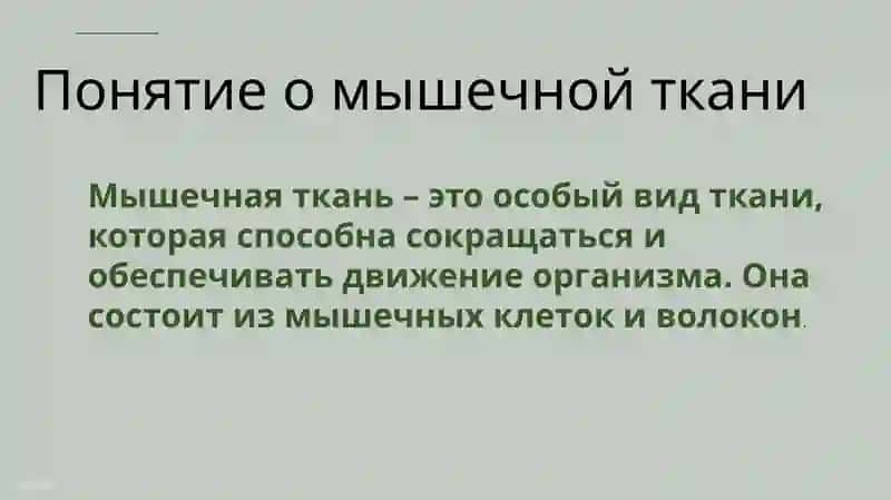 Презентация студентов 108-A группы 1-го факультета лечебного дела по русскому языку 3