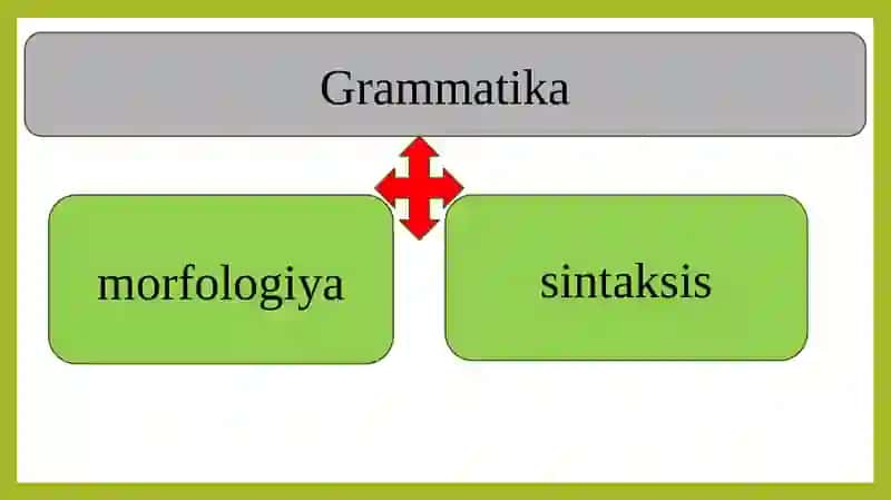 Grammatika 3