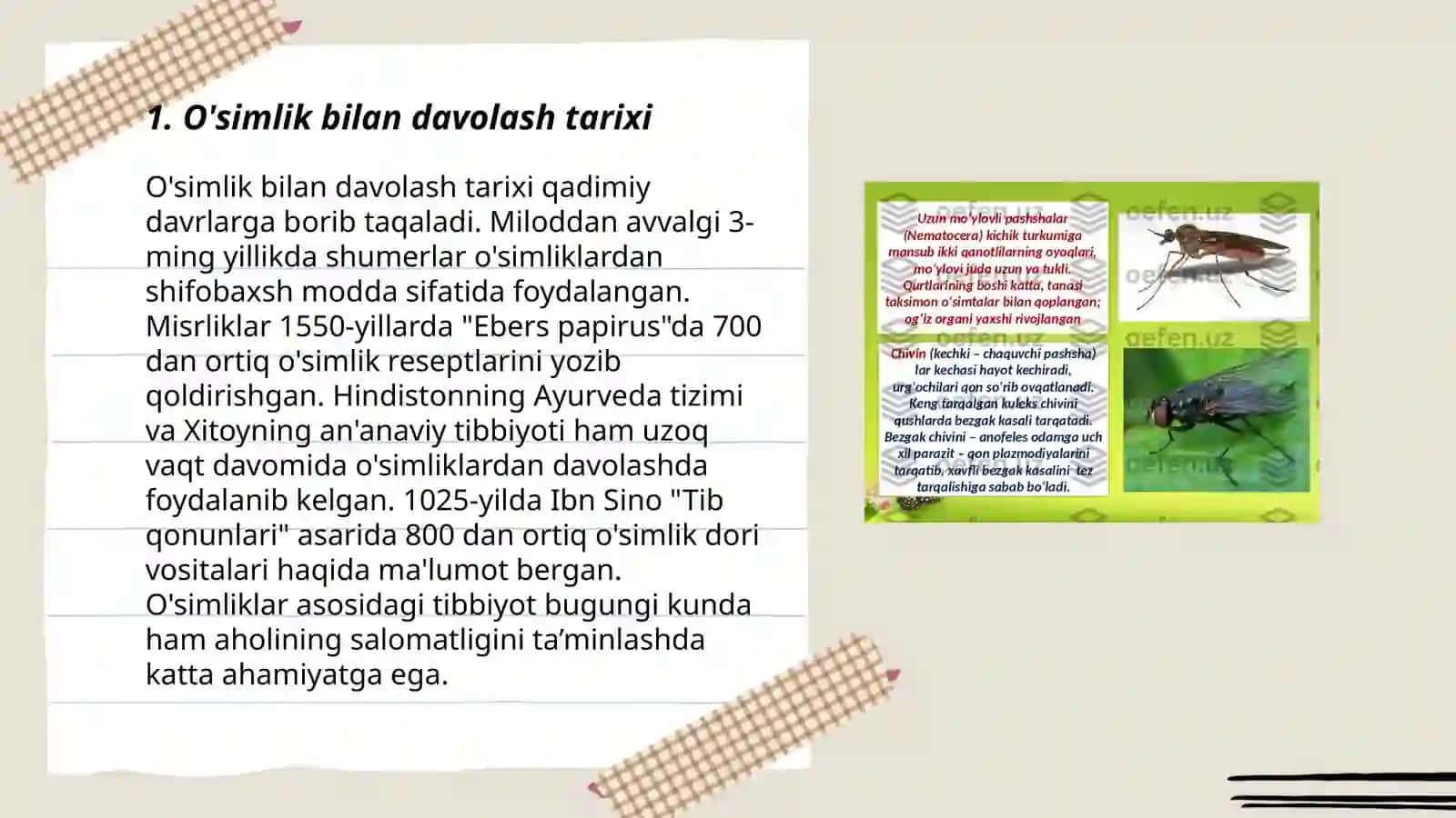 Ochlik bilan davolash 3