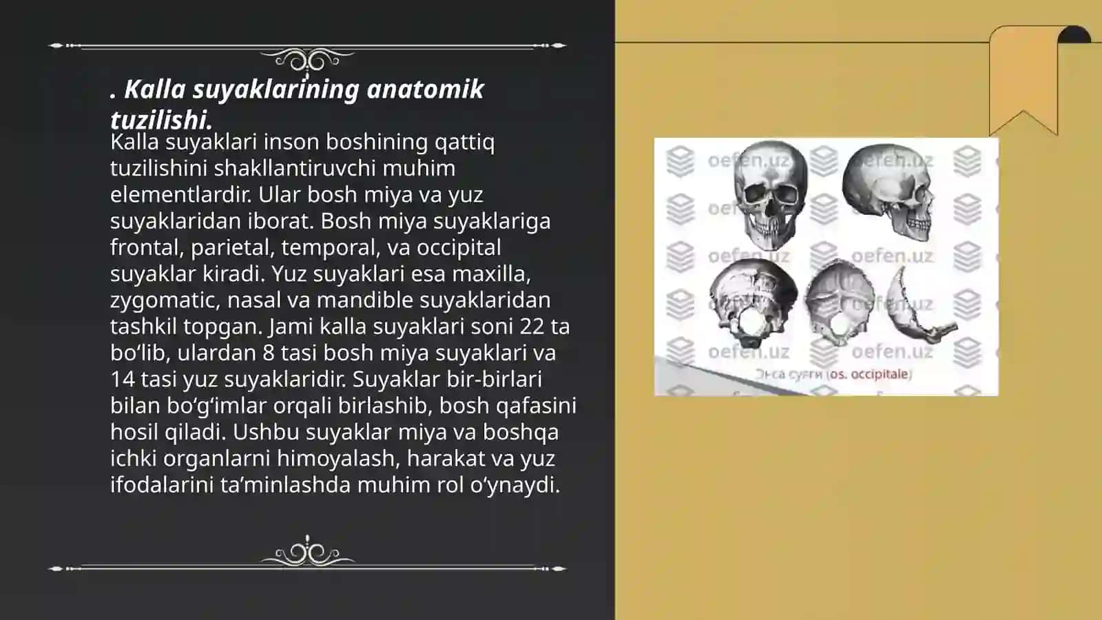 Kalla suyagi 3