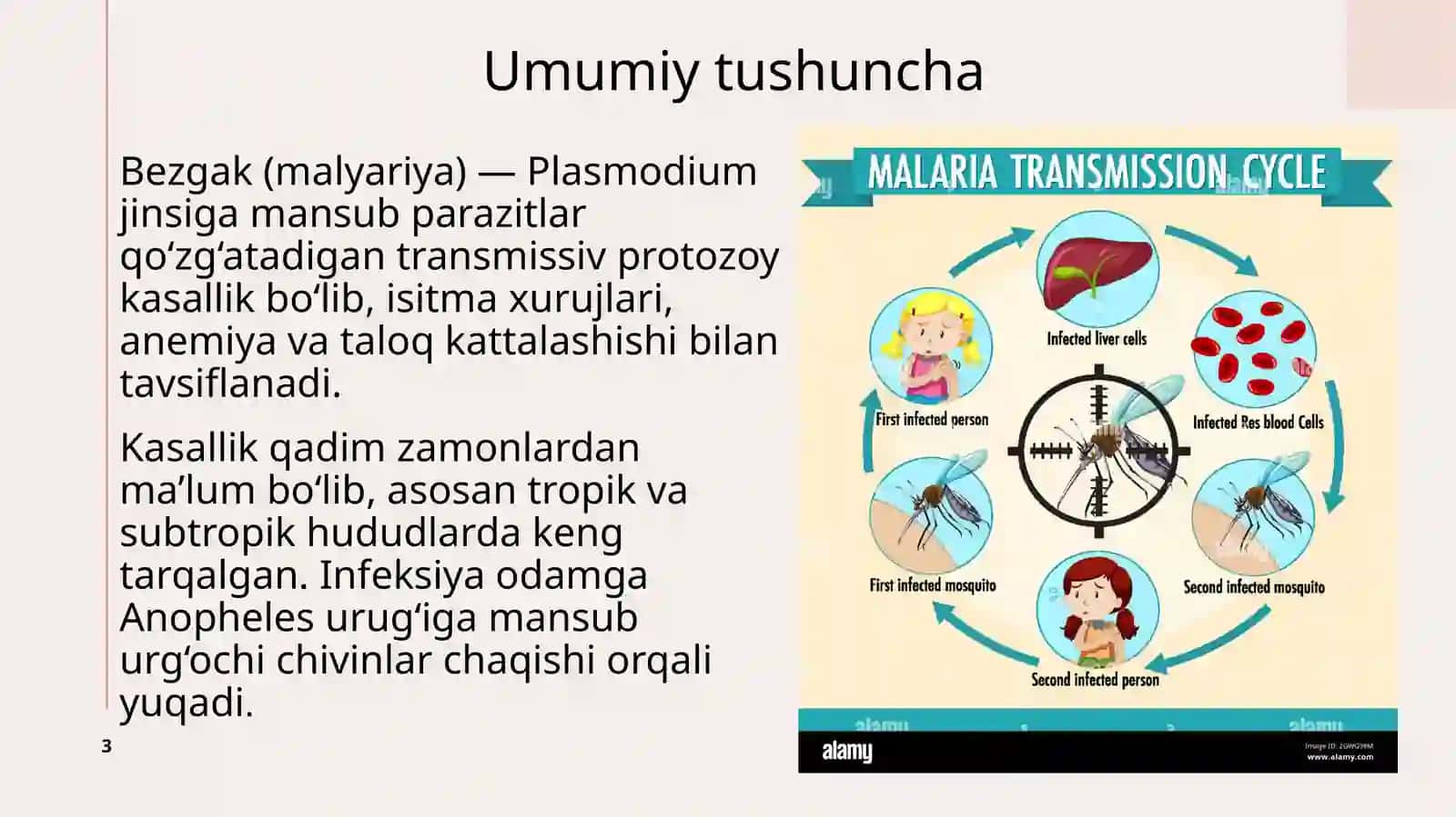 Bezgak(malyariya) 3