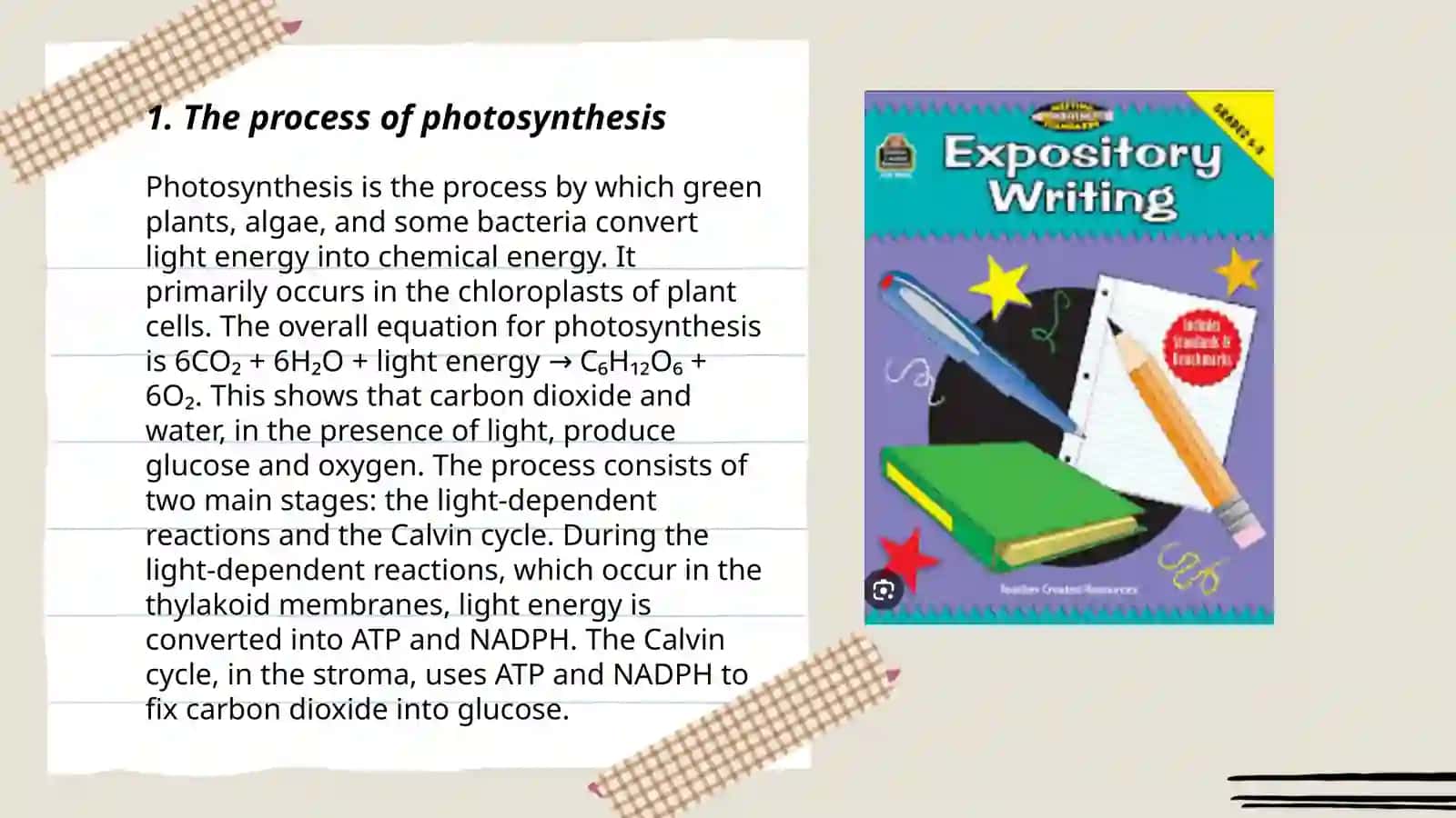 The Process of Photosynthesis 3