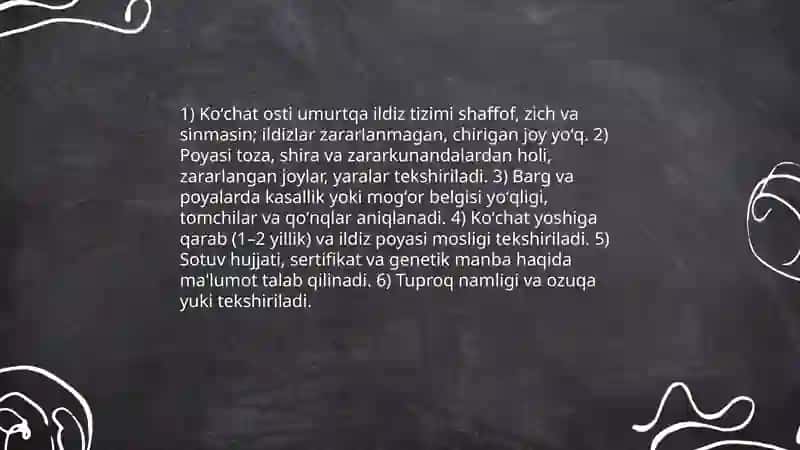 Meva koʻchatlariga shakl berish ularni parvarish qilish 3