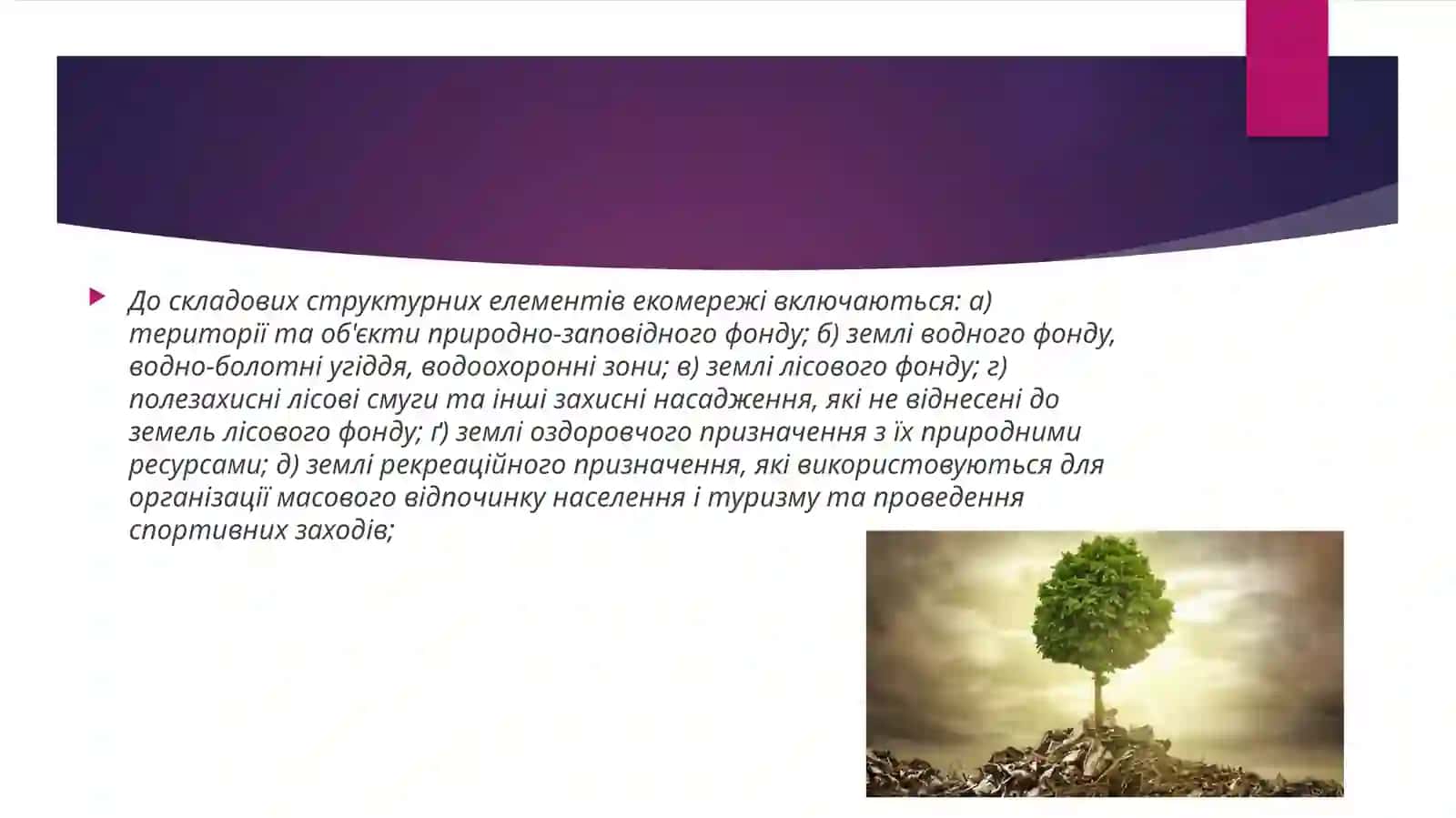 Екомережі 3