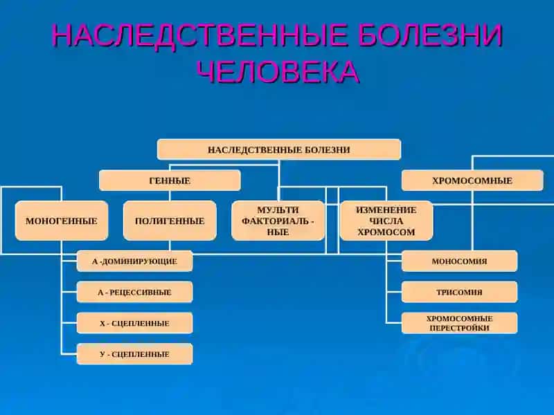 Генетика человека 3