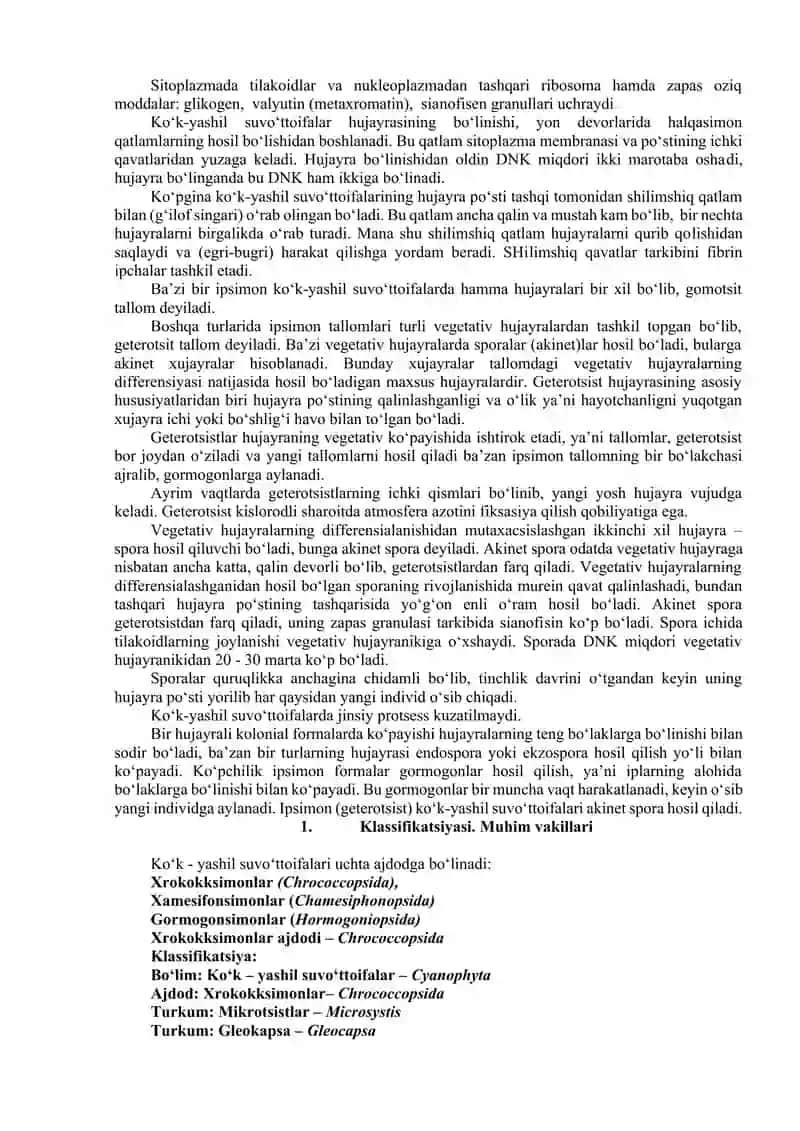 Ko’k – yashil suvo’tlar bo’limi – Cyanophyta. 3