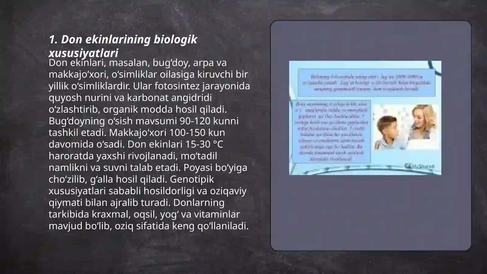 Don ekinlarining oʻsishi va rivojlanishi 3