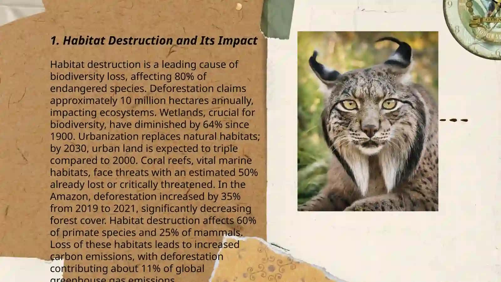 Endangered animals 3