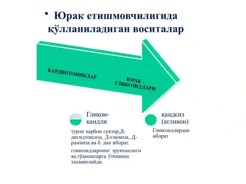 KARDIOTONIK, ANTIANGINAL VA GIPOLIPIDEMIK PREPARATLAR 3