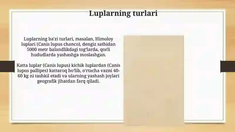 Luplar 3
