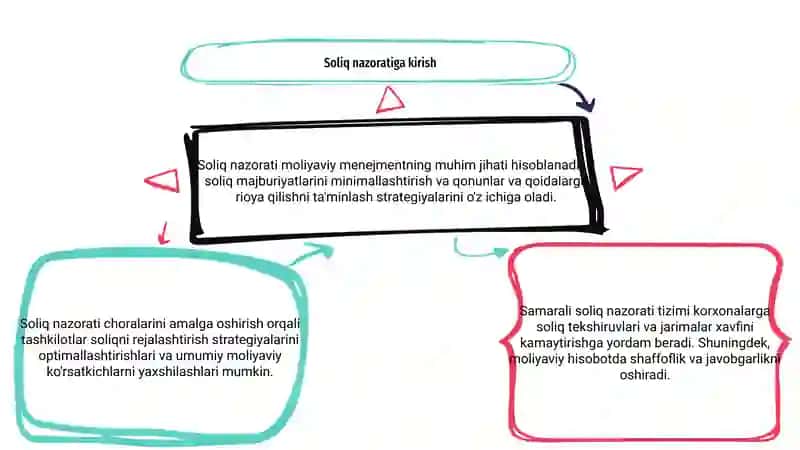 Soliq nazorati 3