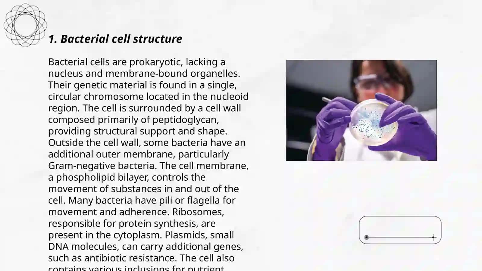Microbiology 3