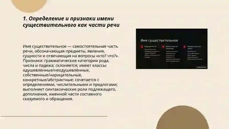 Имя существительное как часть речи 3