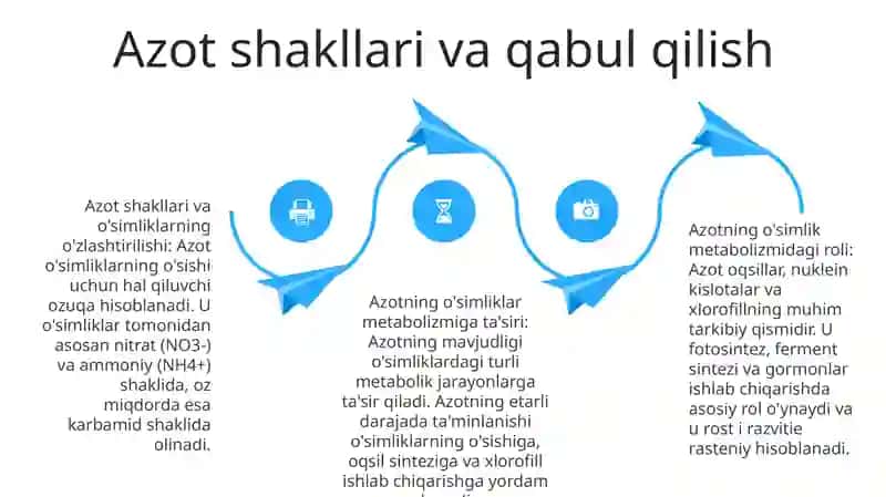 Azotning O'Simliklardagi Modda Almashinuviga Ta'Siri Ilhomovna 3