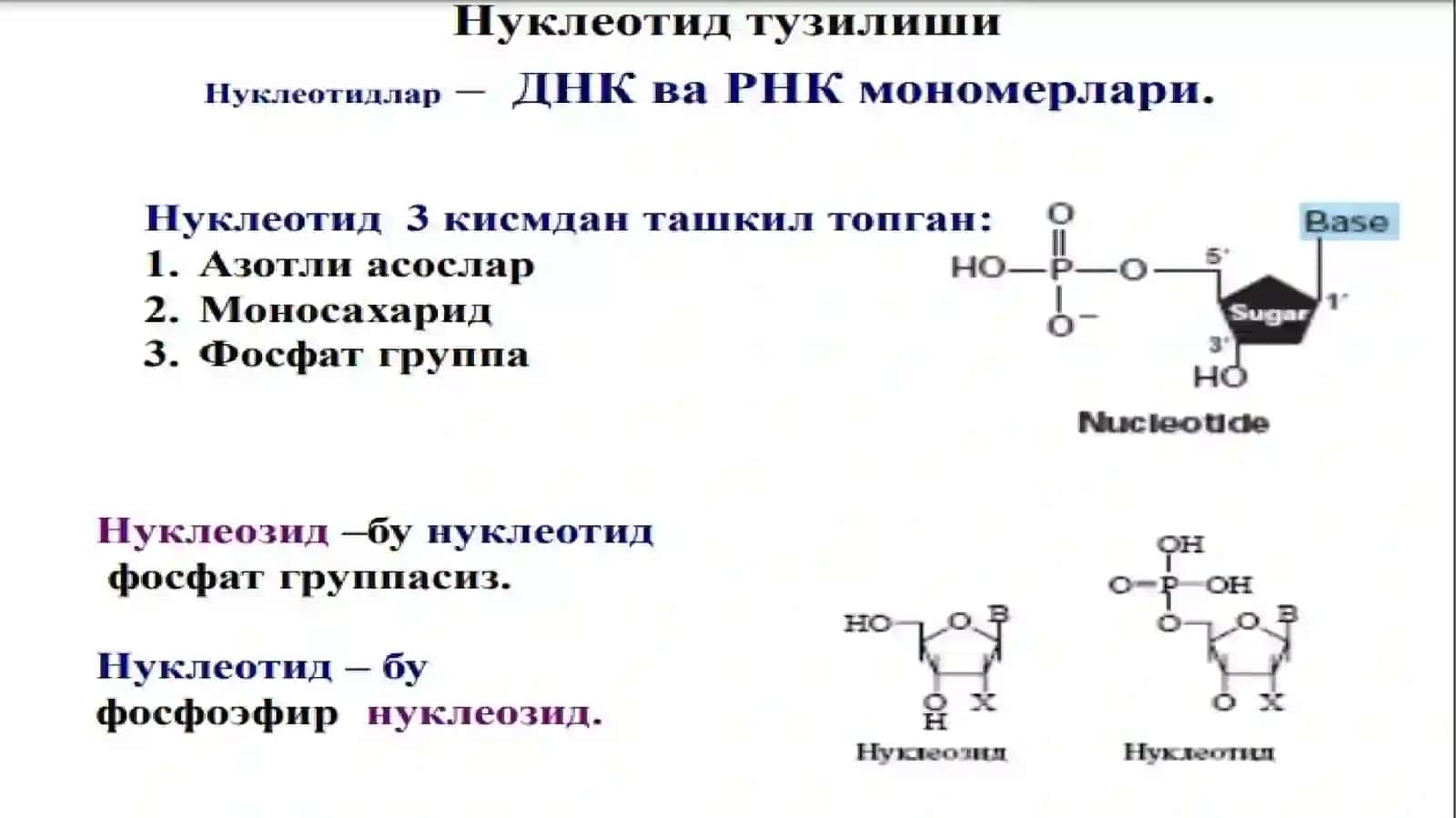 Нуклеин кислоталар биокимёси 3