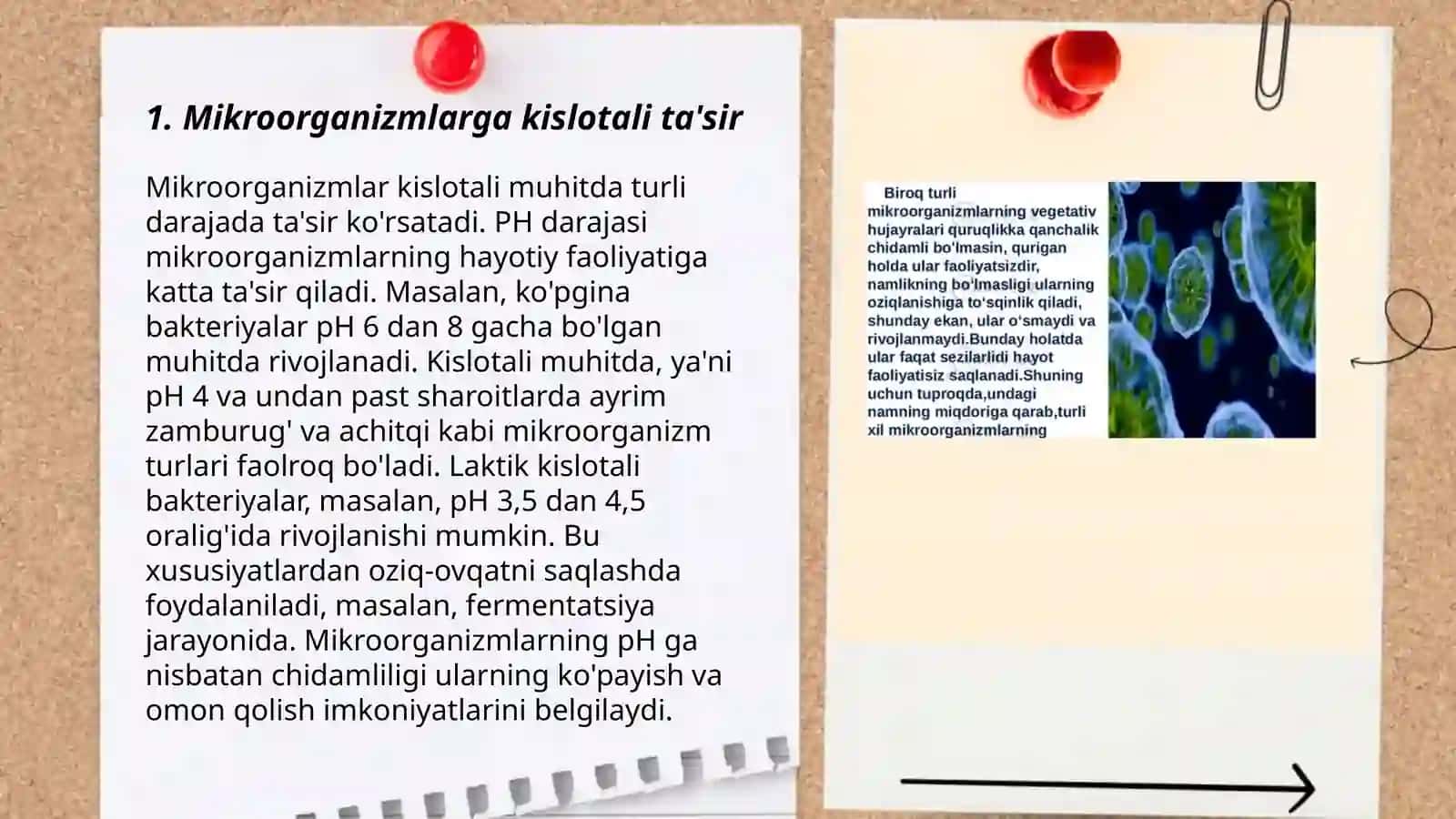 Mikroorganizmlarga kimyoviy omillarning ta'siri 3