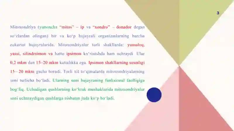 Hujayra organoidlari; 3