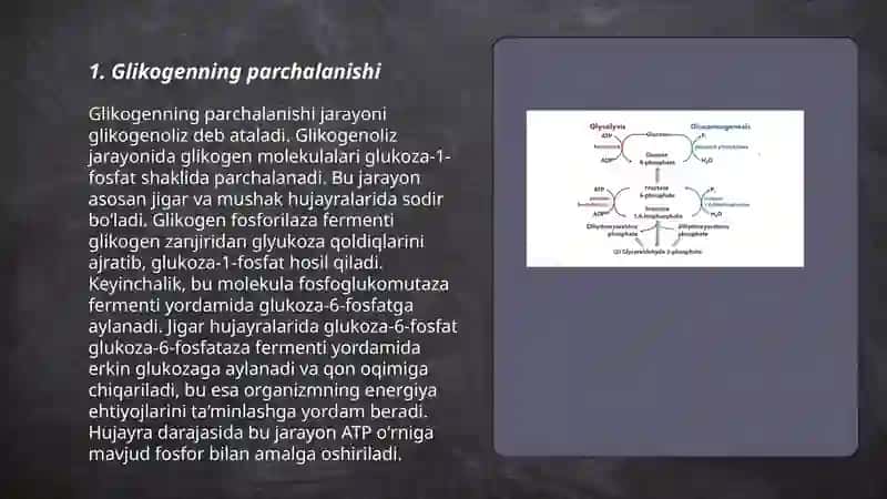 Glyukoza katobalizimi va glyukoneogenez. Pentozofosfat yo‘lining ahamiyati 3
