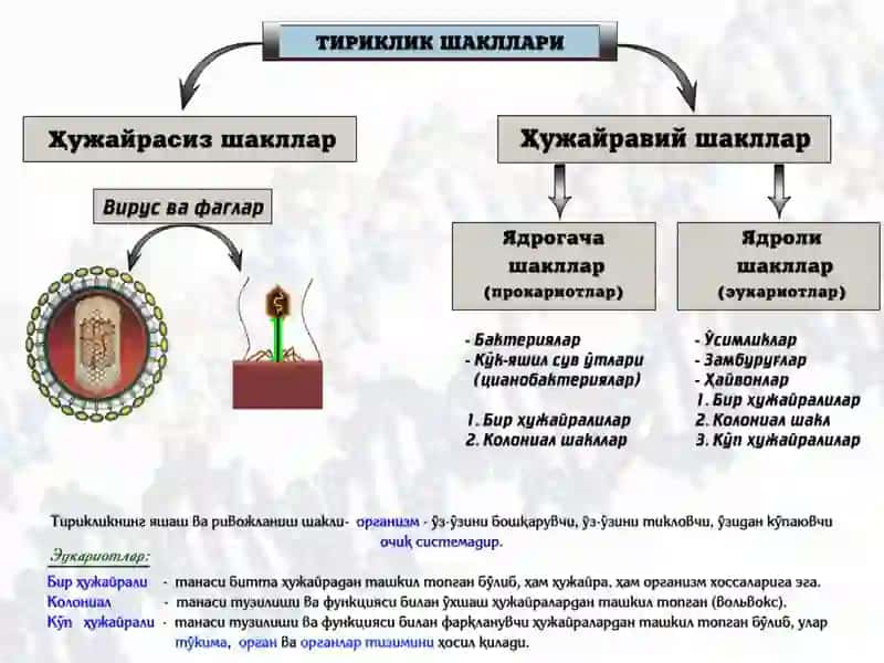 Тиббий биология ва генетика 3