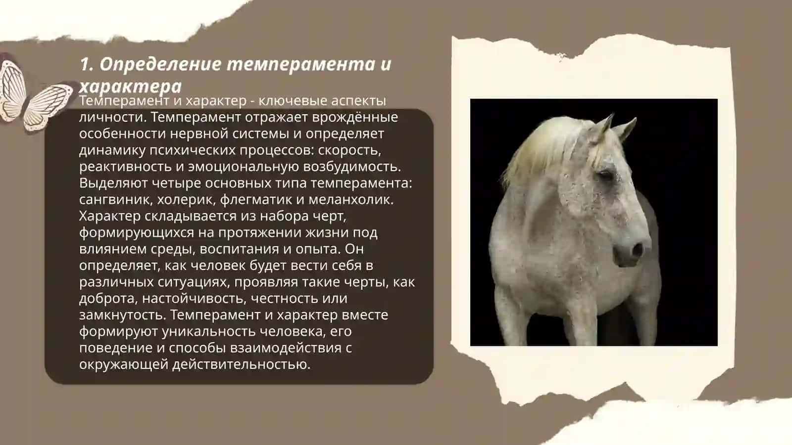 Отличие темперамента от характера 3