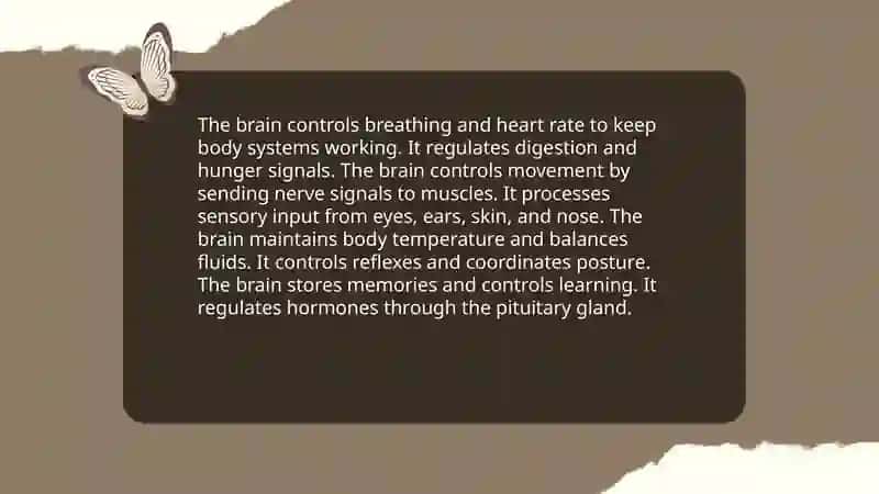Human brain. Present Simple Tense 3