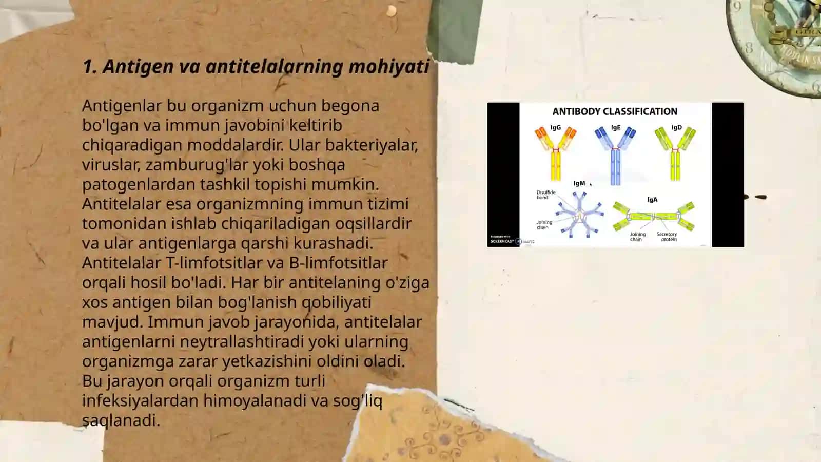 Antigen va antitelalar 3