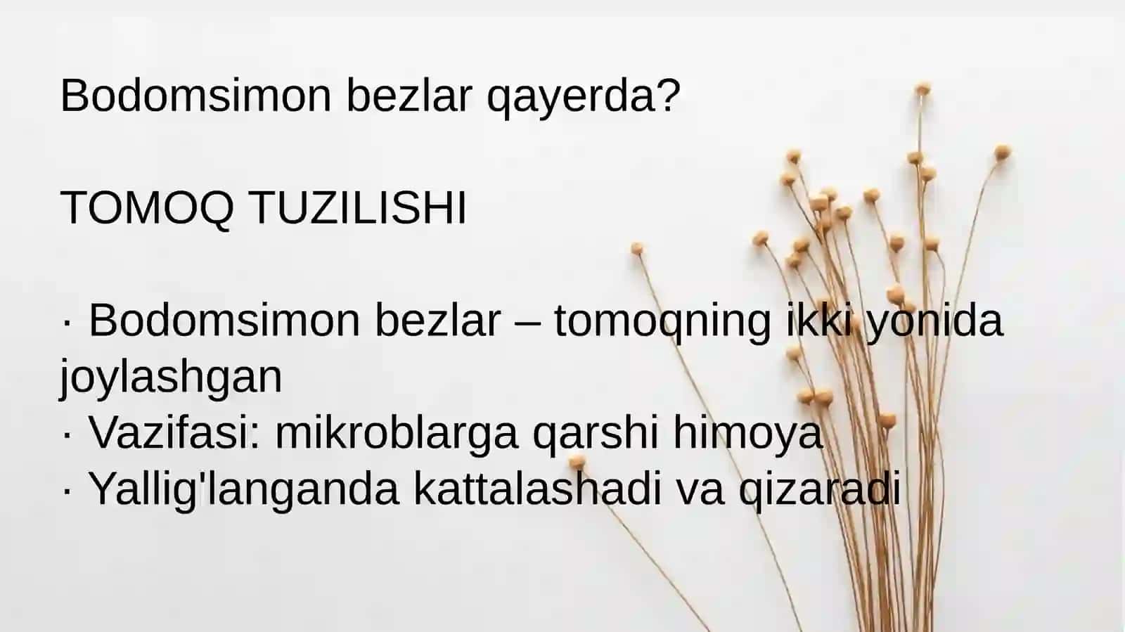 Angina(Tonzillit) 3