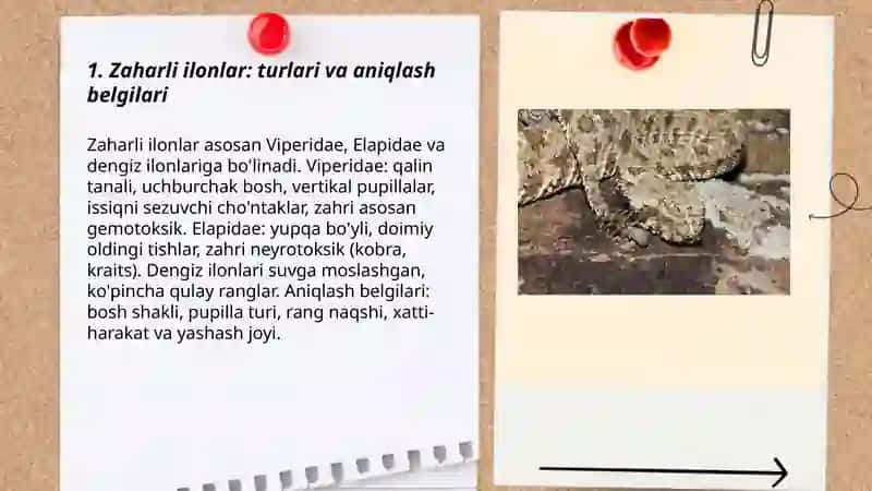 Zaharli ilonlar 3