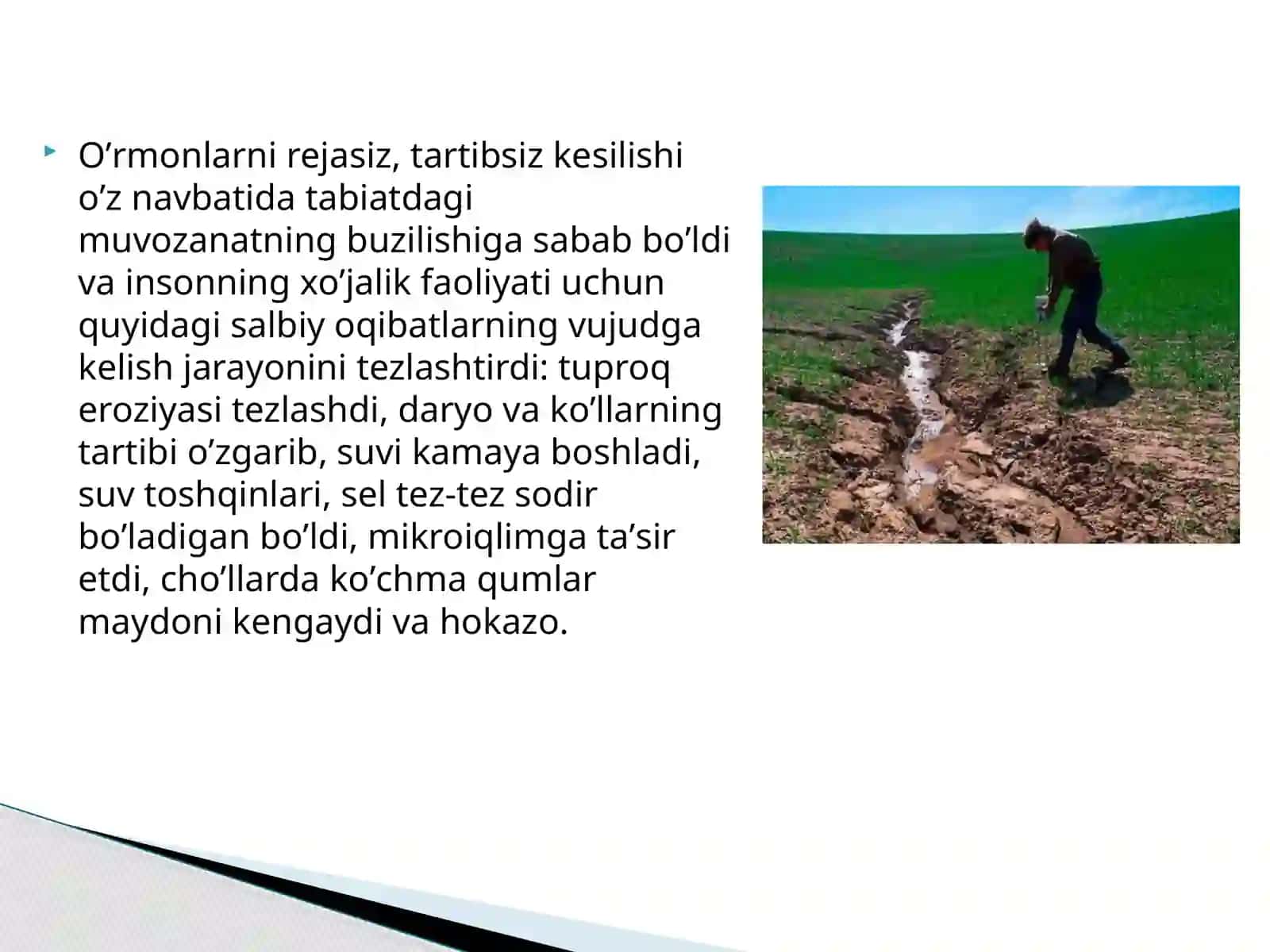 OʼSIMLIKLАR QOPLАMINI MUHOFАZА QILISh VА MUHOFАZА ETILАDIGАN HUDUDLАR 3