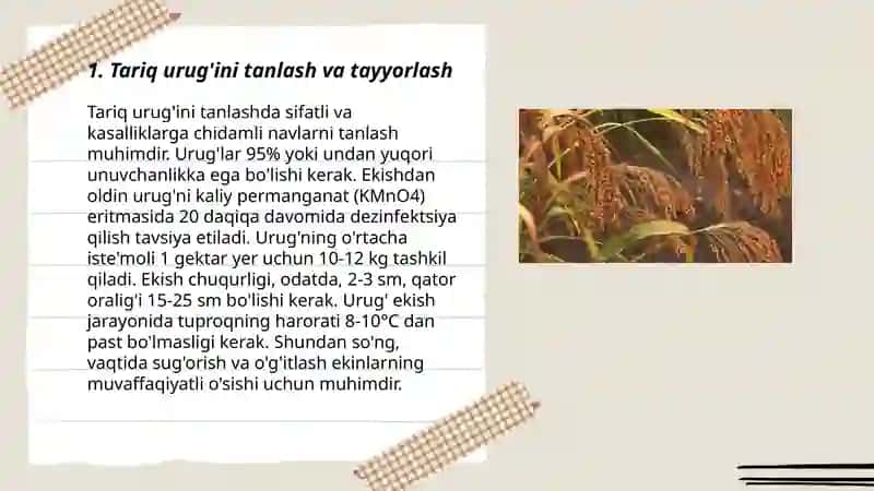 Tariq yetishtirish texnologiyasi 3
