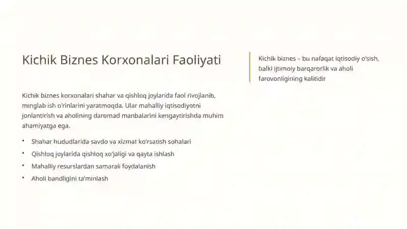 Kichik Biznes Subyektlarini Qo'llab-Quvvatlash Mexanizmlari 3