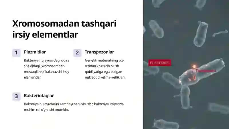 Bakteriya irsiyatining xromosomaga taalluqli bo'lmagan omillari 3