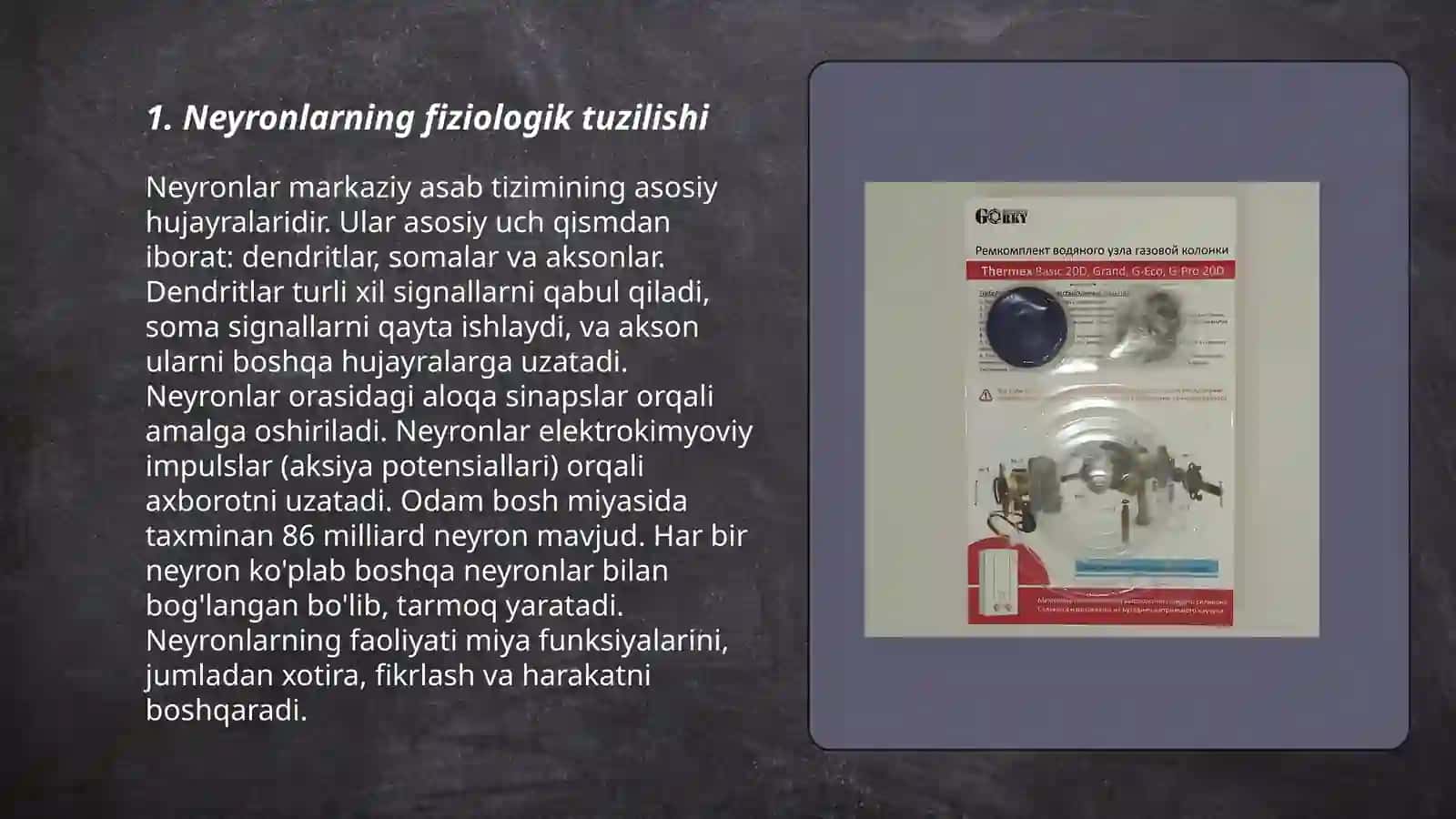 Xulq atvorning nerv fiziologik asoslari 3